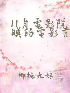 11月电影院上映的电影有哪些