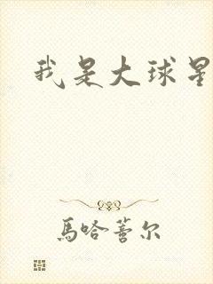 我是大球星