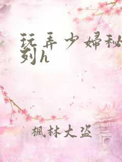 玩弄少妇秘书系列h