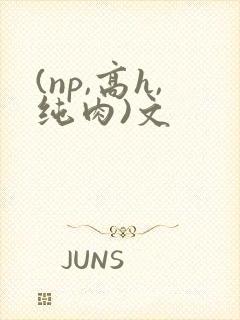 (np,高h,纯肉)文