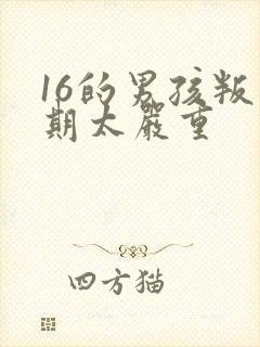 16的男孩叛逆期太严重