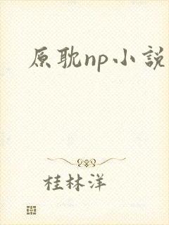 原耽np小说
