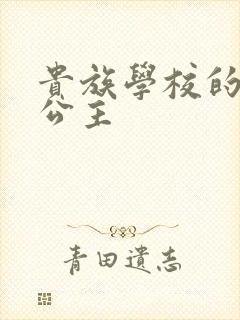 贵族学校的双面公主