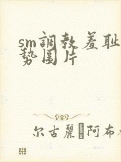 sm调教羞耻姿势图片