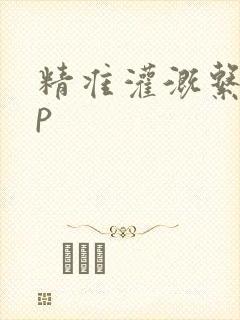 精准灌溉系统hp