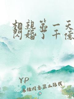 相亲第一天:我闪婚了千亿富翁