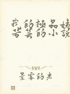 我的极品姨妈柳若芸的小说在线