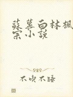 苏慕白林枫神霄宗小说