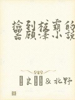 捡到校霸的遥控器顾泽小说免费阅读