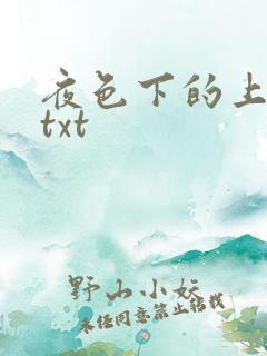 夜色下的上海滩txt