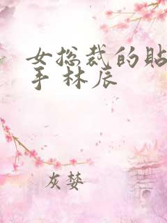 女总裁的贴身高手 林辰