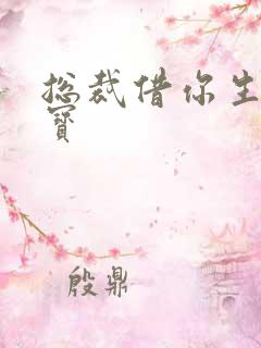 总裁借你生个宝宝