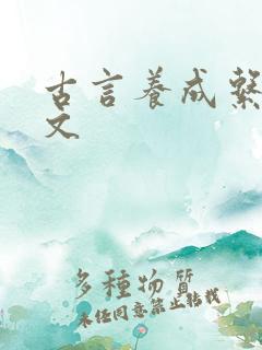 古言养成系甜宠文