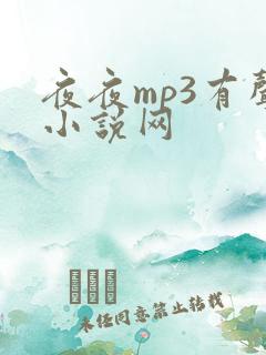 夜夜mp3有声小说网