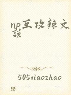 np互攻辣文小说