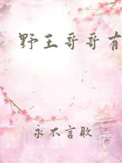 野王哥哥有点甜