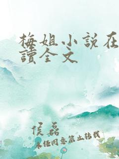 梅姐小说在线阅读全文