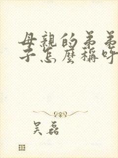 母亲的弟弟的儿子怎么称呼