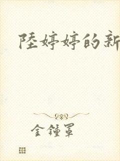 陆婷婷的新故事