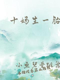 十妈生一胎
