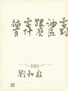 插电跟油电混合有什么区别