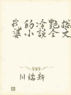 我的冷艳总裁老婆小说全文阅读