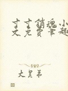 寸寸销魂小说全文免费笔趣阁