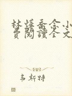 林烨乔念小说免费阅读全文最新章节