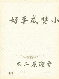 好事成双小说