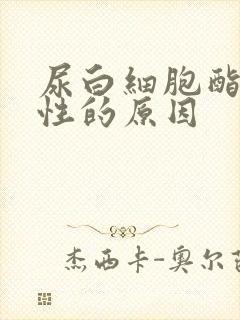 尿白细胞酯酶阳性的原因