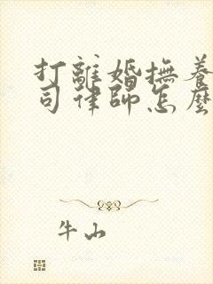 打离婚抚养权官司律师怎么收费