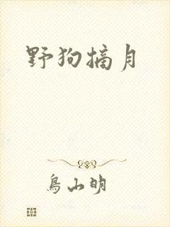 野狗摘月