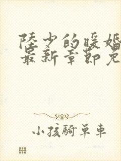 陆少的暖婚新妻最新章节免费阅读