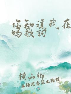 你知道我在想你吗歌词