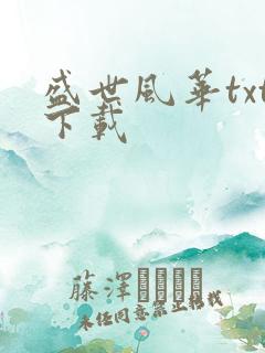 盛世风华txt下载