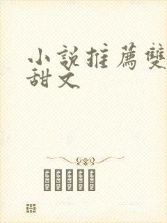 小说推荐双男主甜文