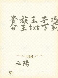 贵族王子巧遇穷公主txt下载