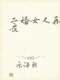 二婚女人再婚之夜