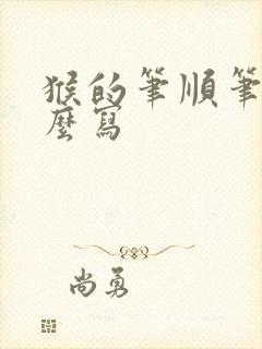 猴的笔顺笔画怎么写