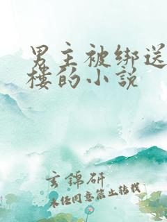 男主被绑送入青楼的小说