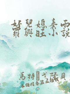 好儿媳秦雨罗明罗兴旺小说