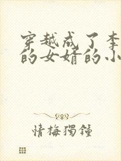 穿越成了李世民的女婿的小说