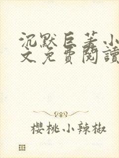 沉默巨著小说全文免费阅读无弹窗