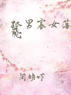 孤男寡女落瑛纷飞