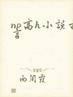 np高h小说古言