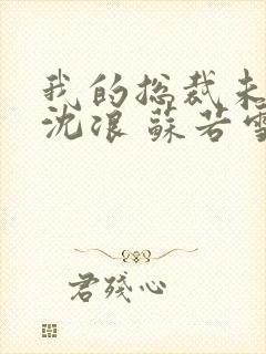 我的总裁未婚妻沈浪 苏若雪