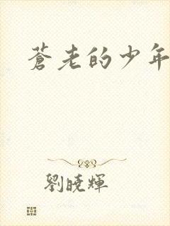 苍老的少年