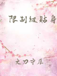 限制级贴身高手