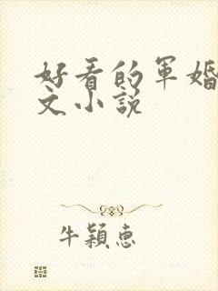 好看的军婚甜宠文小说