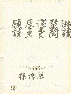 顾辰泽楚琳薇小说免费阅读最新章节